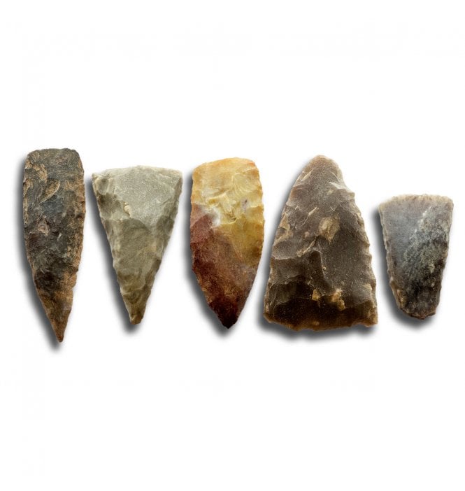 Set of 5 Neolithic Tenerean Culture Chisels found Sahara Desert, Niger, North Africa (SKU Tool-170)