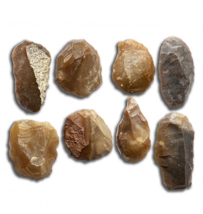Set of 8 Neolithic Tenerean Culture Scrappers found Sahara Desert, Niger, North Africa (SKU Tool-171)