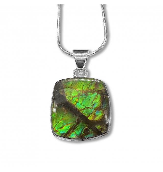 Sterling Silver Ammolite Pendant Necklace (SKU FOSSJ-113)