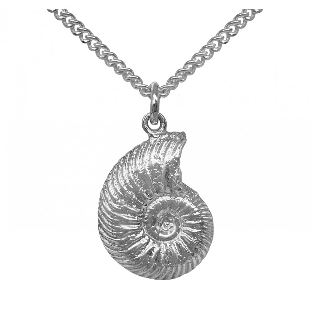 Fossils For Sale | Fossils-UK.com | Sterling Silver Ammonite Necklace