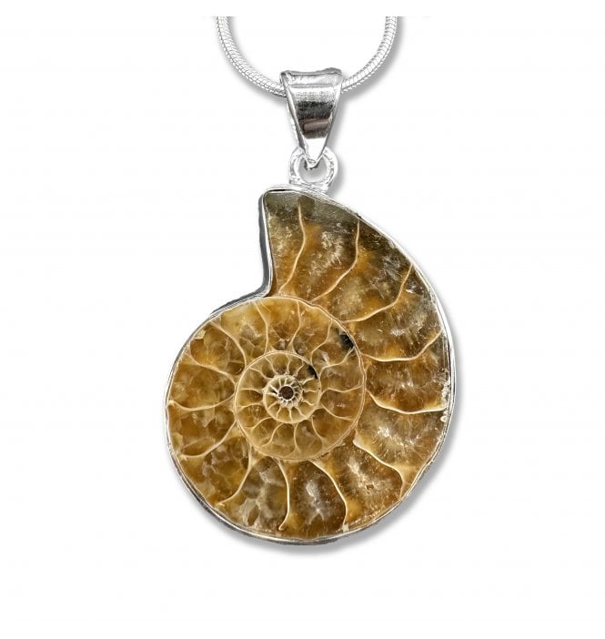 Sterling Silver Ammonite Pendant Necklace (SKU FOSSJ-090)