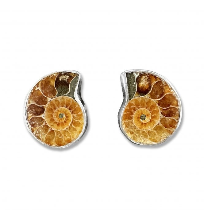 Sterling Silver Ammonite Stud Earrings (SKU FOSSJ-074)