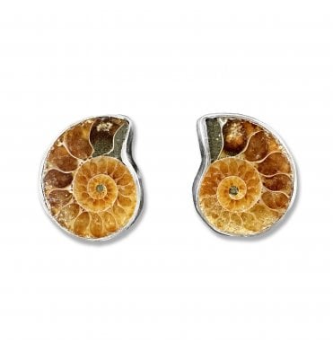 Sterling Silver Ammonite Stud Earrings (SKU FOSSJ-074)