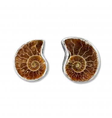 Sterling Silver Ammonite Stud Earrings (SKU FOSSJ-076)