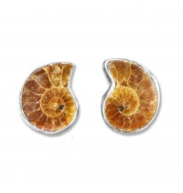 Sterling Silver Ammonite Stud Earrings (SKU FOSSJ-080)