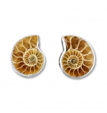 Sterling Silver Ammonite Stud Earrings (SKU FOSSJ-083)