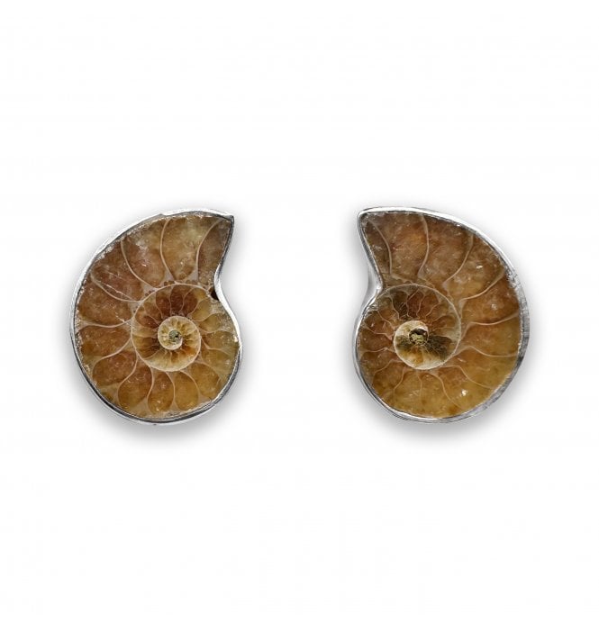Sterling Silver Ammonite Stud Earrings (SKU FOSSJ-119)