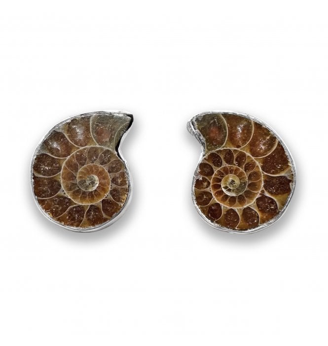 Sterling Silver Ammonite Stud Earrings (SKU FOSSJ-121)