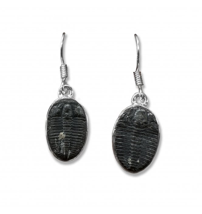 Sterling Silver Trilobite Drop Earrings (SKU FOSSJ-097)