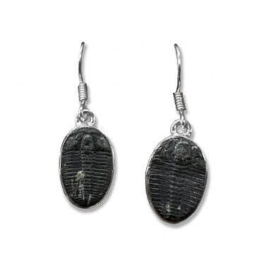 Sterling Silver Trilobite Drop Earrings (SKU FOSSJ-097)