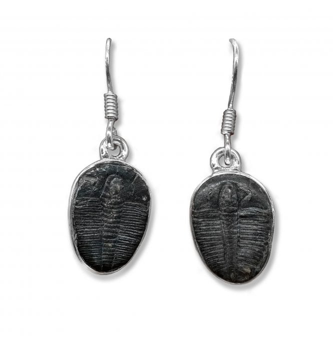 Sterling Silver Trilobite Drop Earrings (SKU FOSSJ-098)