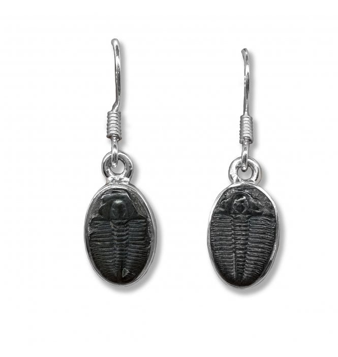 Sterling Silver Trilobite Drop Earrings (SKU FOSSJ-099)