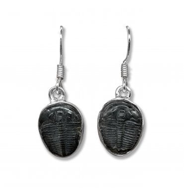 Sterling Silver Trilobite Drop Earrings (SKU FOSSJ-101)