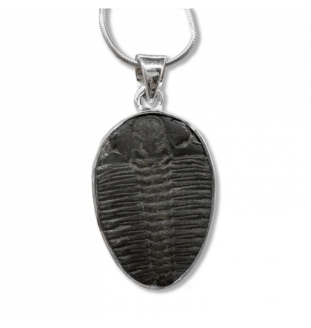 Fossils For Sale | Fossils-UK.com | Sterling Silver Trilobite Pendant ...