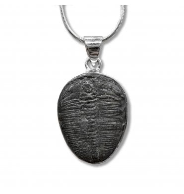 Sterling Silver Trilobite Pendant Necklace (SKU FOSSJ-104)