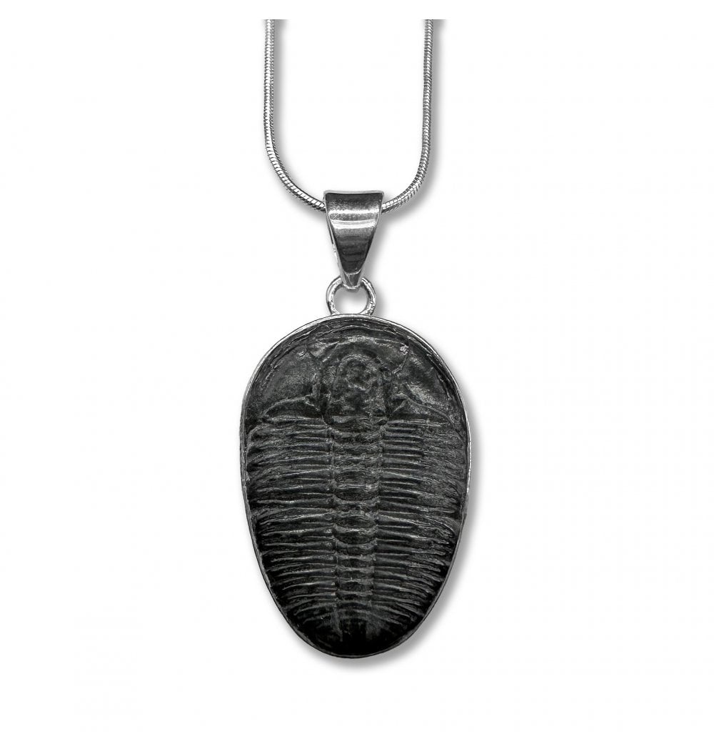 Fossils For Sale | Fossils-UK.com | Sterling Silver Trilobite Pendant ...