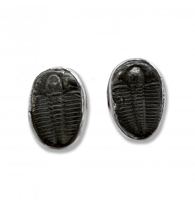 Sterling Silver Trilobite Stud Earrings (SKU FOSSJ-094)
