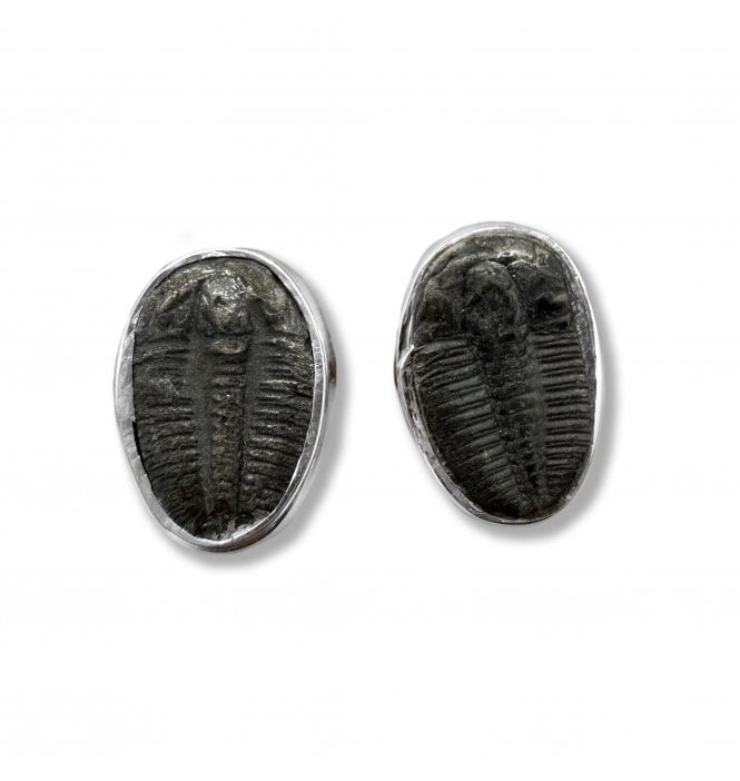 Sterling Silver Trilobite Stud Earrings (SKU FOSSJ-095)