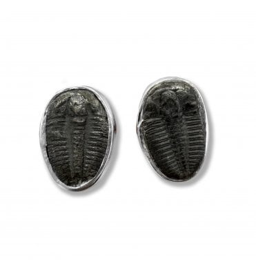 Sterling Silver Trilobite Stud Earrings (SKU FOSSJ-095)