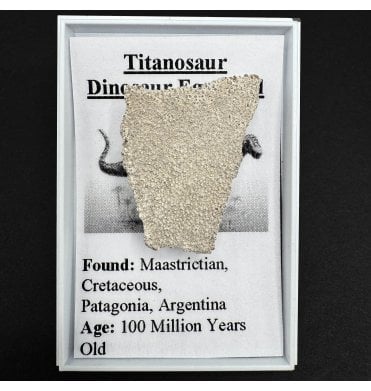 Titanosaur Dinosaur Egg Shell (SKU G56)