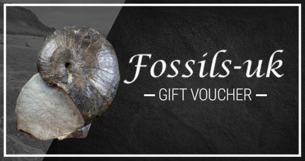 Gift Voucher